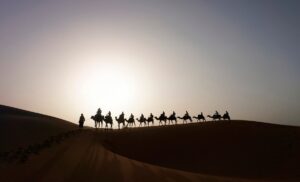 Silhouetted figures on camels trek across a sand dune against a glowing sunset sky in a serene desert landscape.