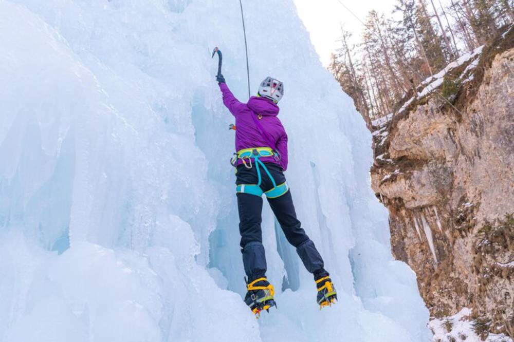 A climber in a purple jacket ascends a tall ice formation using an ice axe and wearing crampons, surrounded by snowy trees.