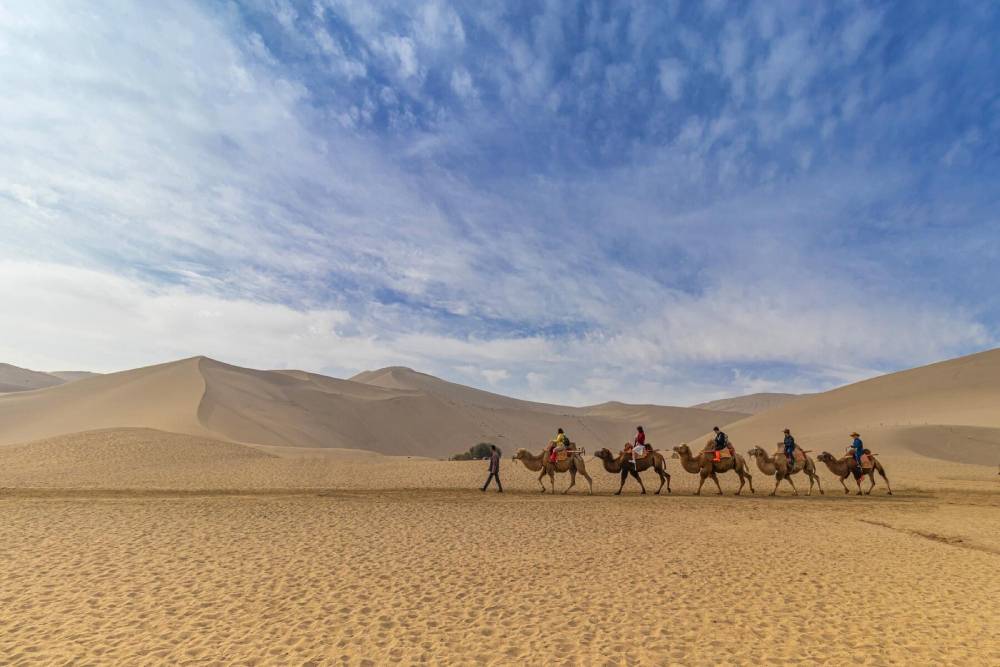 A caravan of camels carrying riders traverses golden sand dunes under a vast blue sky with scattered clouds.