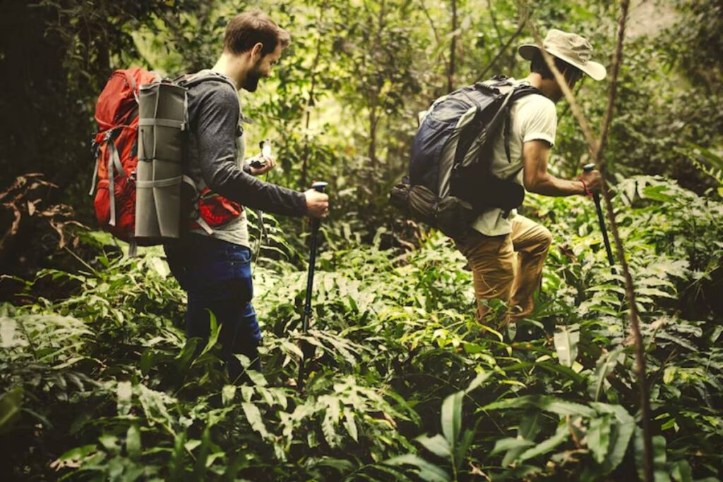 Two hikers navigate through dense greenery, equipped with backpacks and trekking poles, immersed in a lush forest environment.