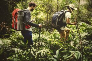 Two hikers navigate through dense greenery, equipped with backpacks and trekking poles, immersed in a lush forest environment.