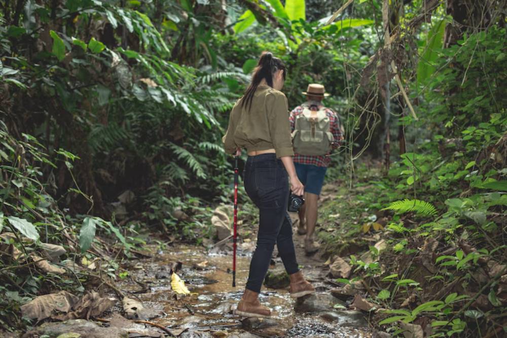 Two hikers navigate a lush green jungle trail, one taking photos, while the other walks ahead wearing a hat and backpack.